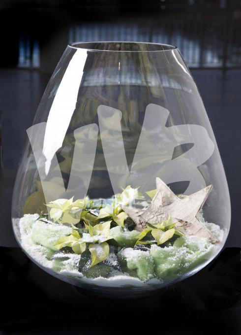 bloemen en planten vvbvanbree     1088